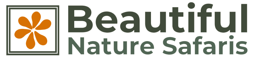 Beautiful Nature Safaris