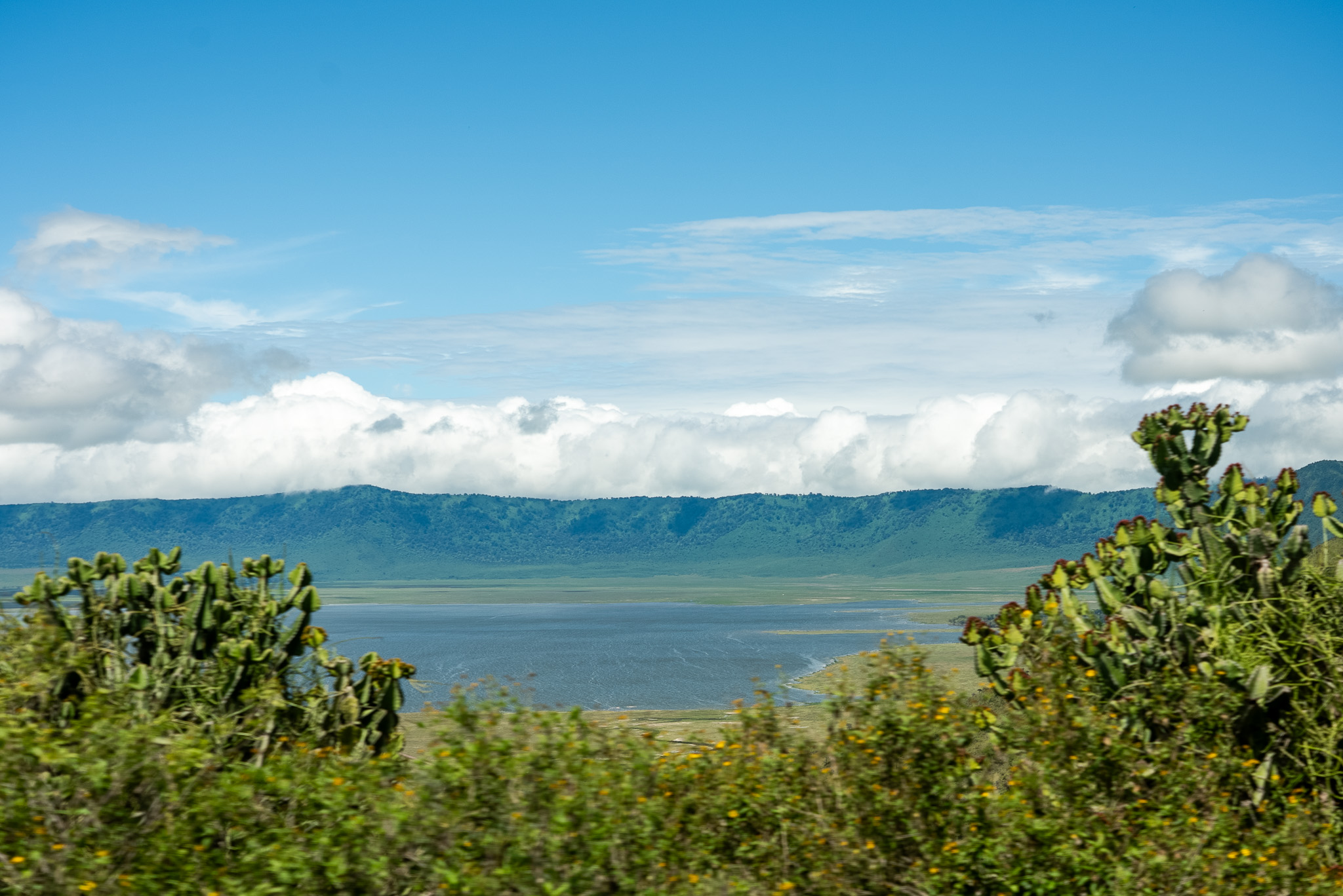 beautiful nature safaris, wild + safari + ngorongoro13