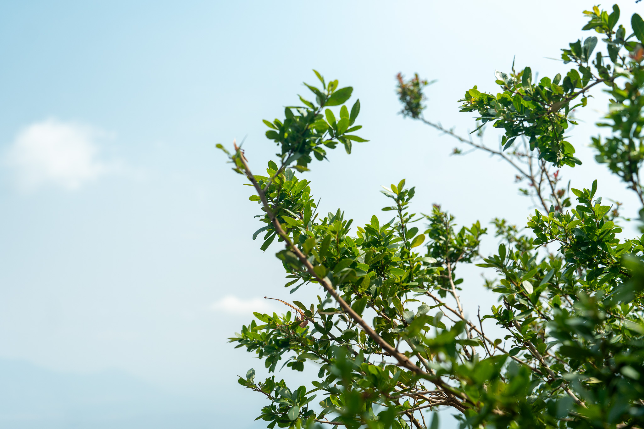 Lushoto + Usambara mountains